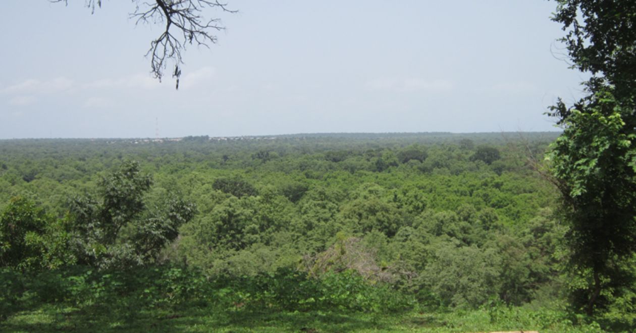 Visite os Parques Nacionais
