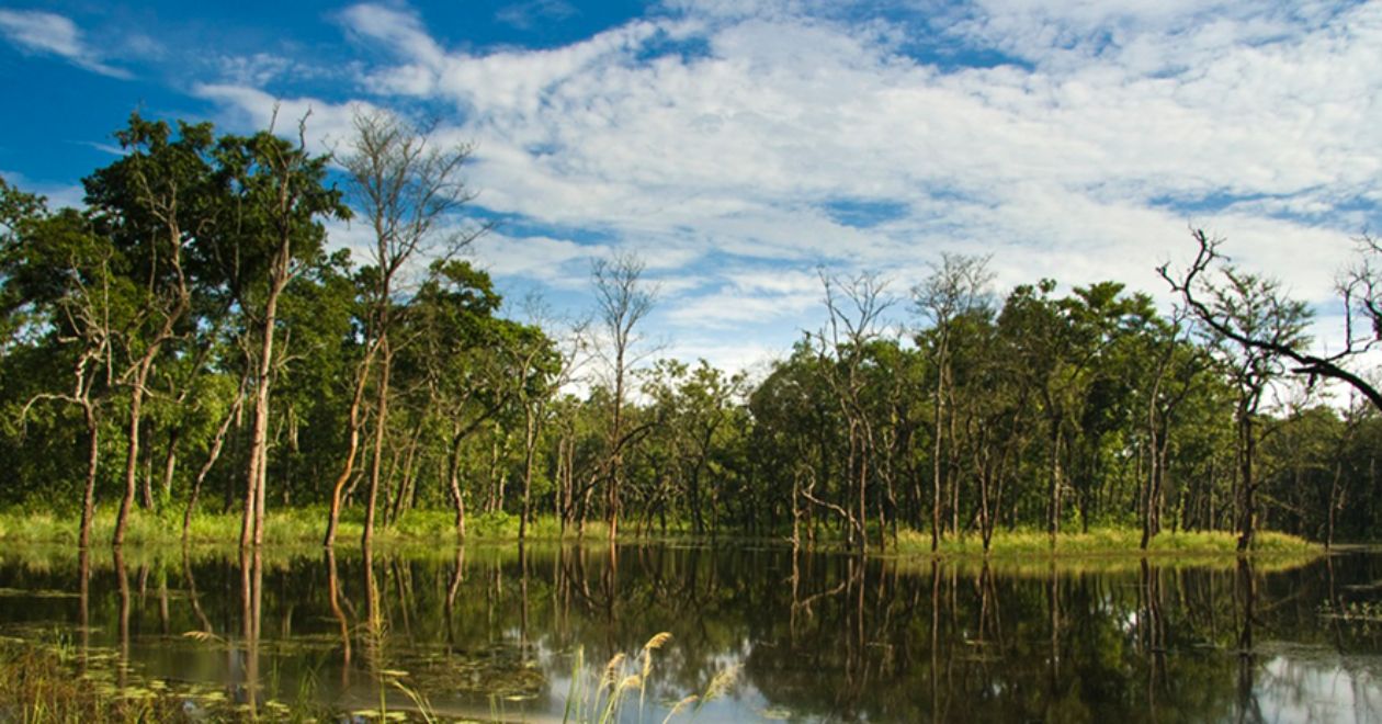 Chitwan National Park