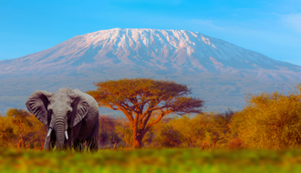 Descubra 8 destinos imperdíveis para conhecer na África