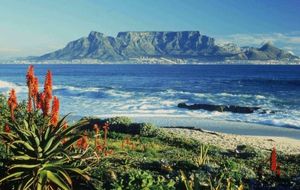 Melhores dicas para quem vai visitar a Table Mountain!