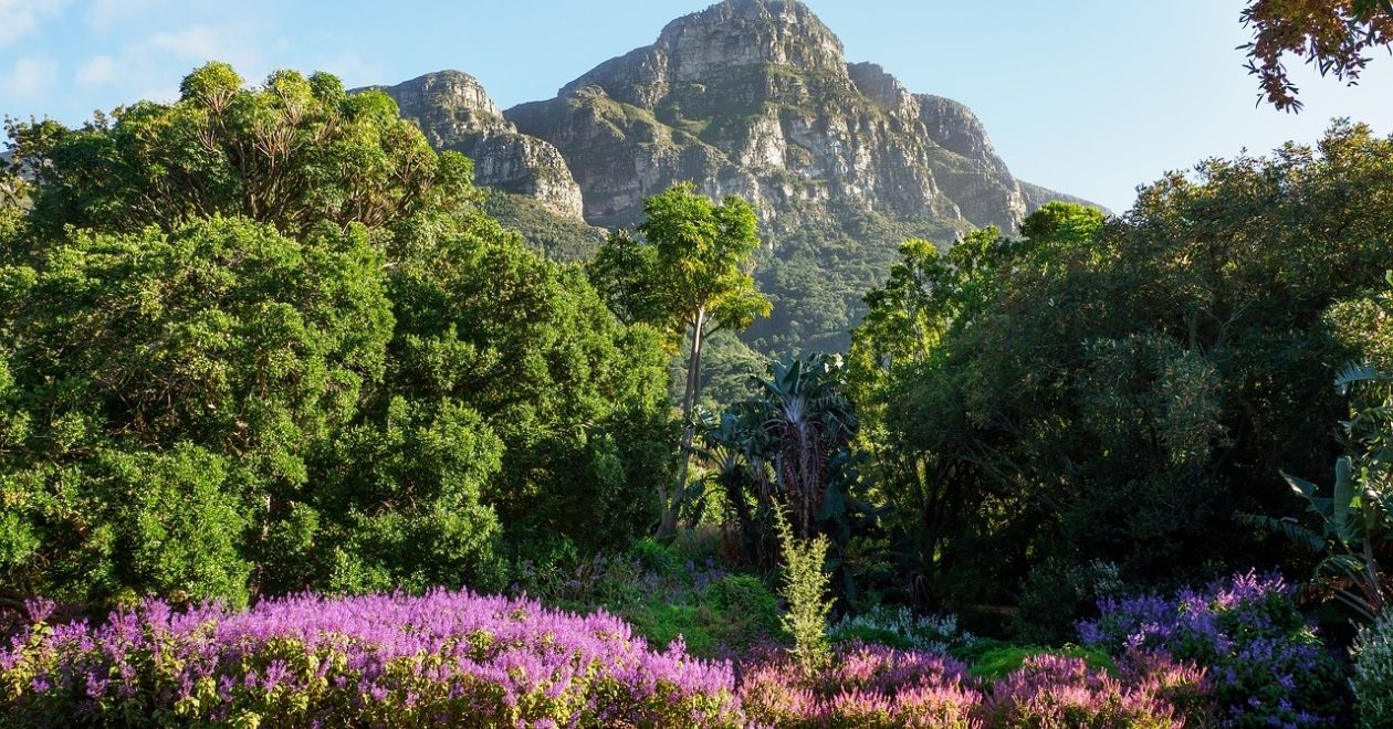 Jardim Botânico Kirstenbosch