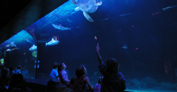 Vancouver Aquarium