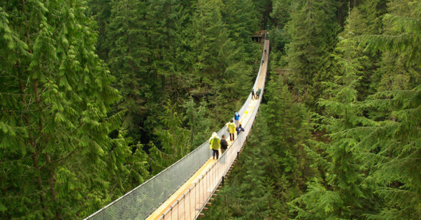 Capilano Suspension Bridge