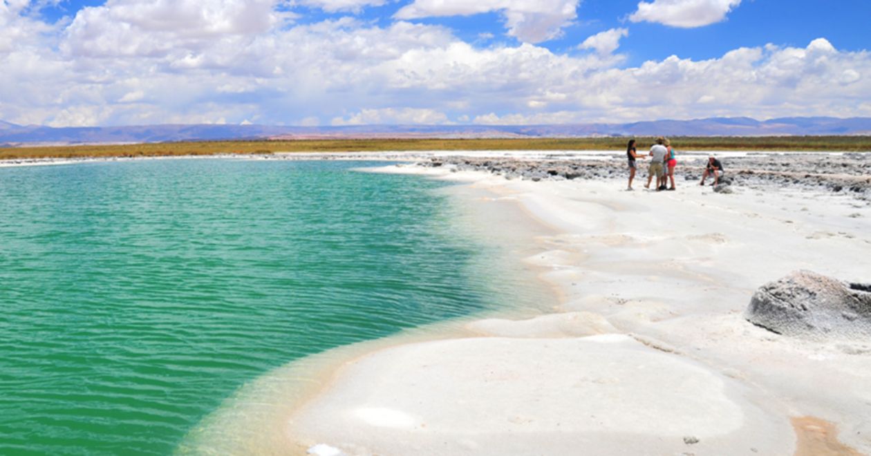 Laguna Cejar