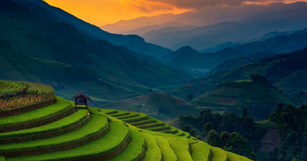 mu_cang_chai