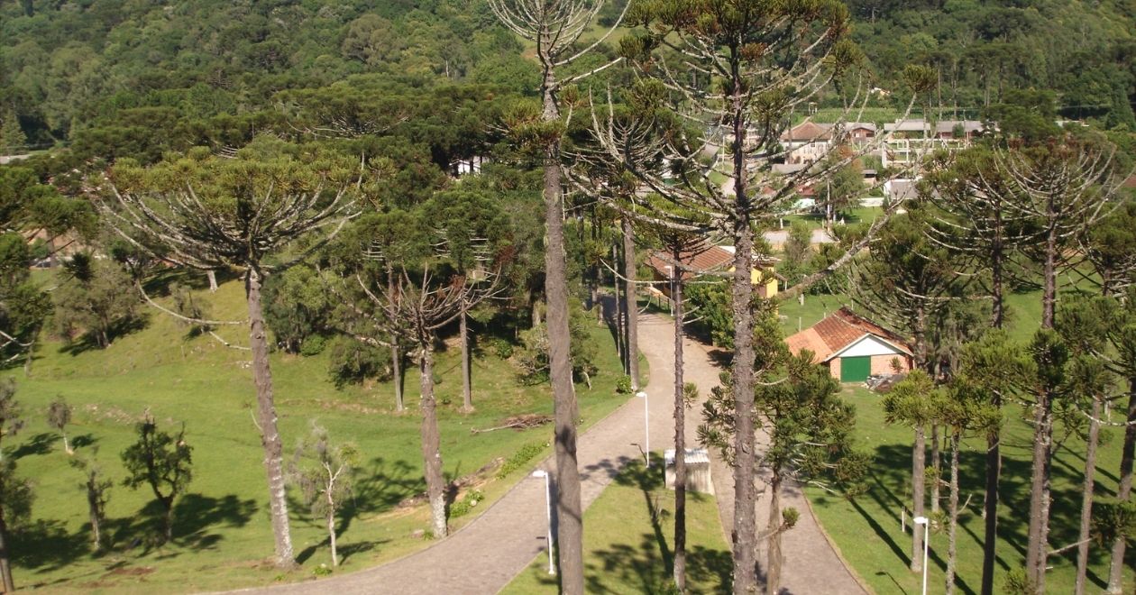 Caxias do Sul