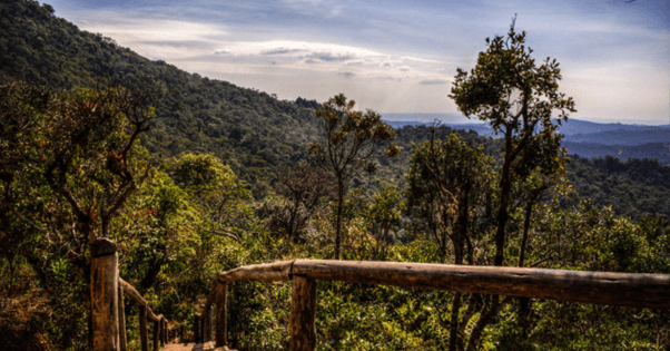 Monte Verde (MG)