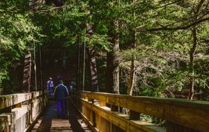 5 Hotéis sustentáveis para sua próxima viagem em 2025