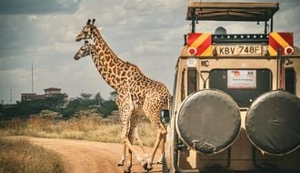 Safáris e turismo de natureza na África do Sul em 2025