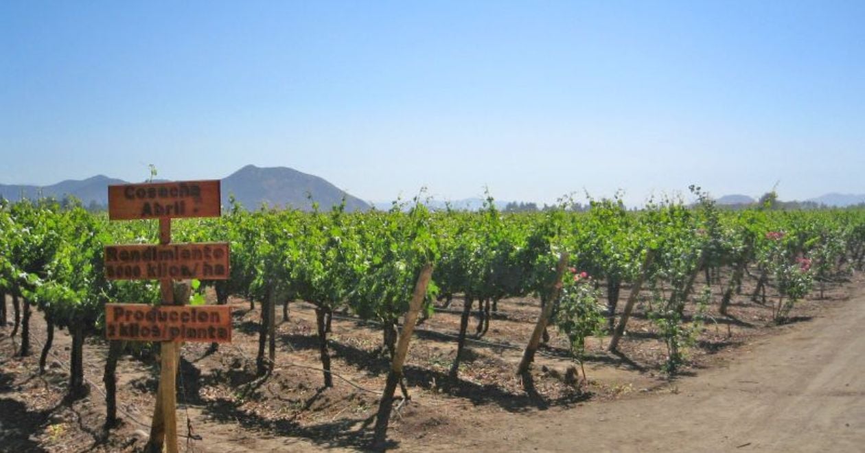 Vinícola Concha y Toro