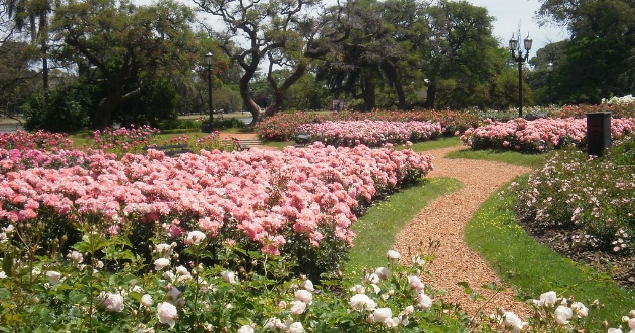 Passeios no Jardim Botânico e Rosedal