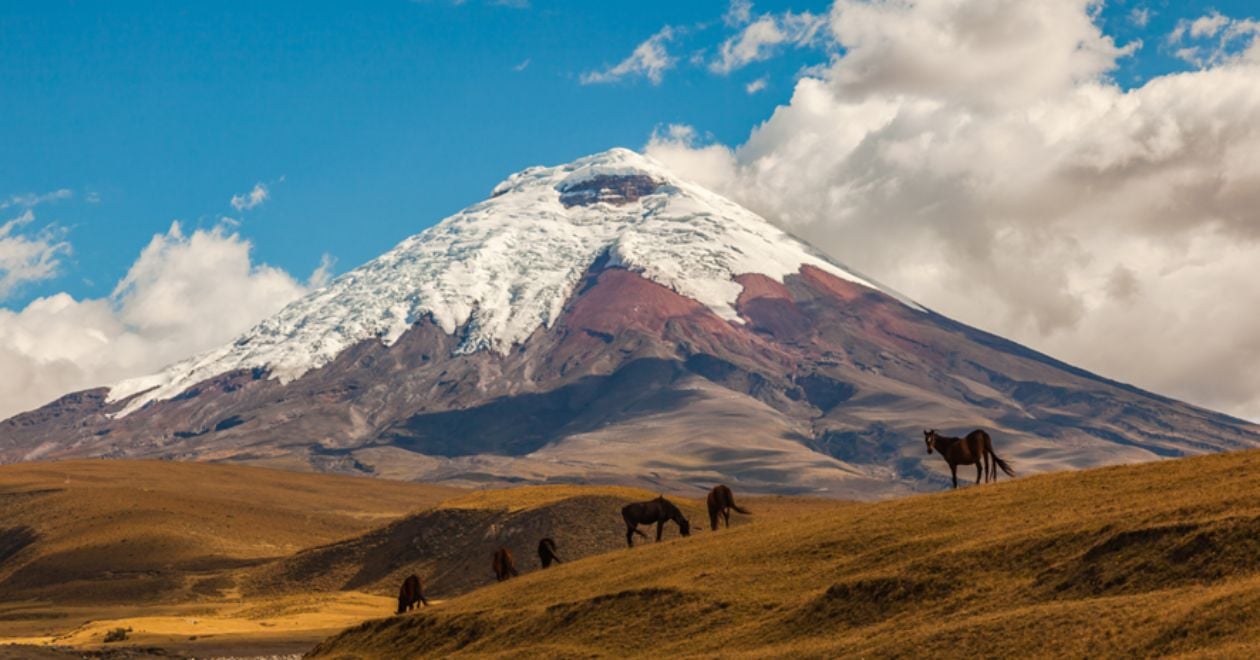 Parque Nacional Cotopaxi 