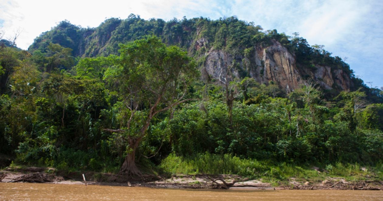Parque Nacional Madidi