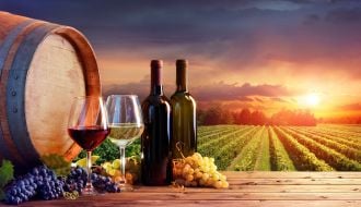 Destinos para quem gosta de vinho