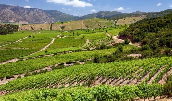 Vale dos Vinhedos (RS)