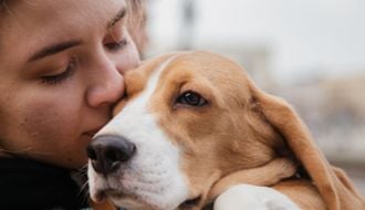 Checklist completo de documentos para viajar com seu pet