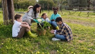 4 destinos turísticos que se destacam pela sustentabilidade 