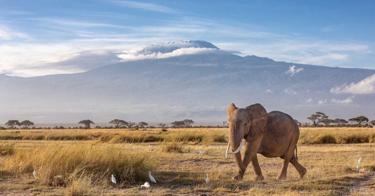 Parque Nacional de Amboseli