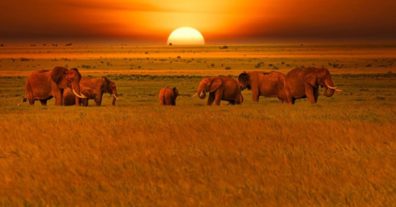 Parque Nacional de Tsavo