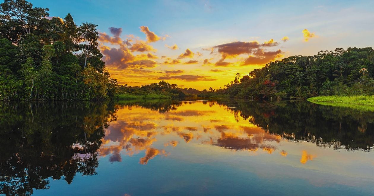 Amazônia