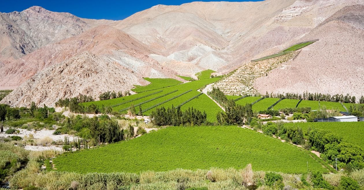 Vale do Elqui