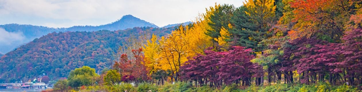 Seguro Viagem para a Coréia do Sul | Allianz Travel