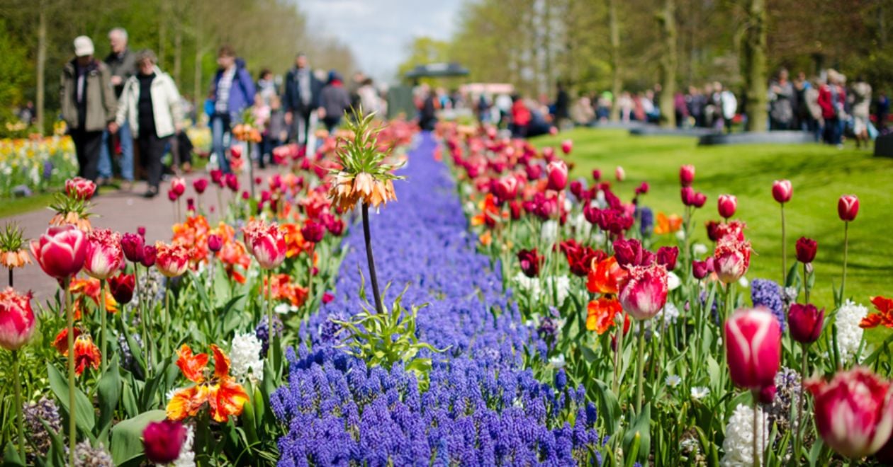 Keukenhof