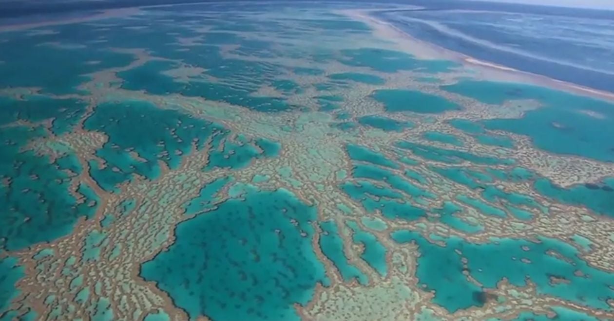 Grande Barreira de Coral